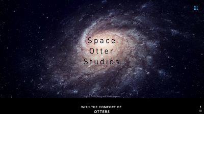 spaceotterstudios.com snapshot