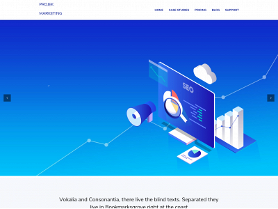 projekmarketing.com snapshot
