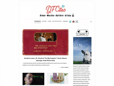 dfcitas.lt snapshot
