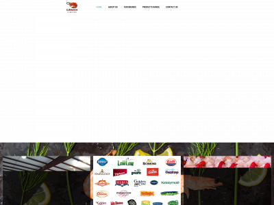 cjracchlimited.co.uk snapshot