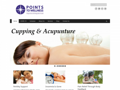 pointstowellness.com snapshot