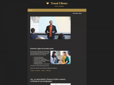 trondullenes.com snapshot