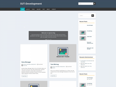 sut-development.ch snapshot