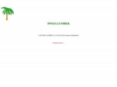 pinija.lt snapshot