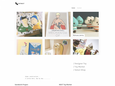antnest.weebly.com snapshot