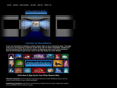 helmiflick.com snapshot