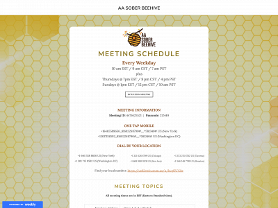 www.aasoberbeehive.com snapshot