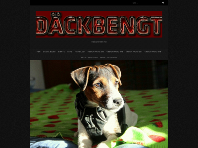 dackbengt.se snapshot