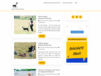 diariodoborder.com snapshot