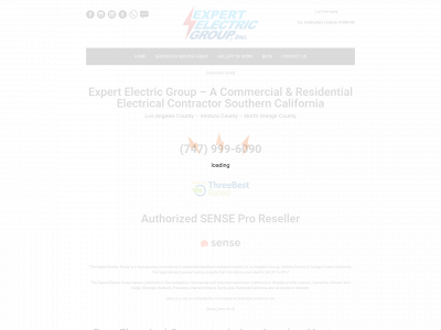 expertelectricgroup.com snapshot