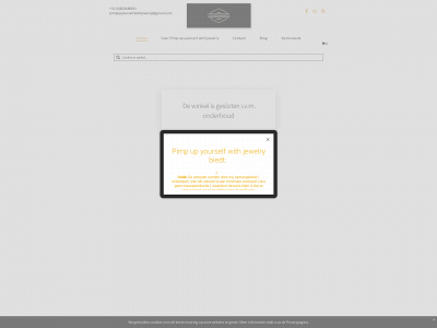 pimpupyourselfwithjewelry.nl snapshot