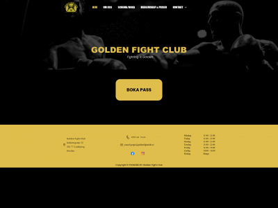 goldenfightclub.se snapshot