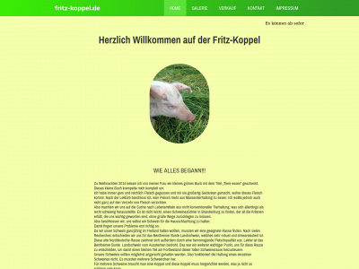 fritz-koppel.de snapshot
