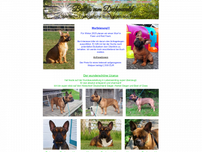 bullys-vom-dechenwald.de snapshot