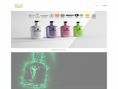 duecor2019.com snapshot