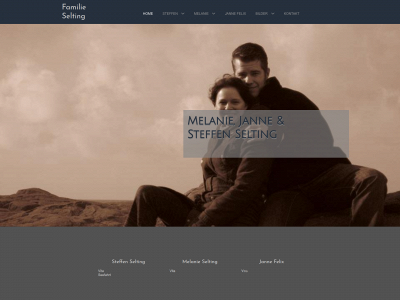 ms-selting.de snapshot