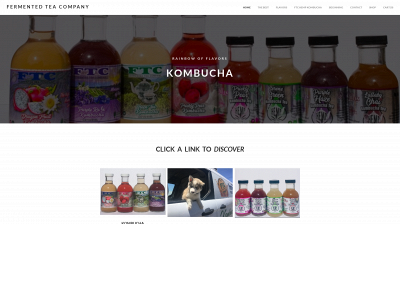 www.fermentedteacompany.com snapshot