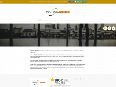 www.insignia-search.com snapshot
