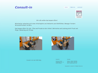 consult-in.de snapshot