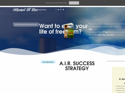 mindsettolife.com snapshot