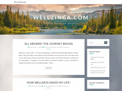 wellzinga.com snapshot