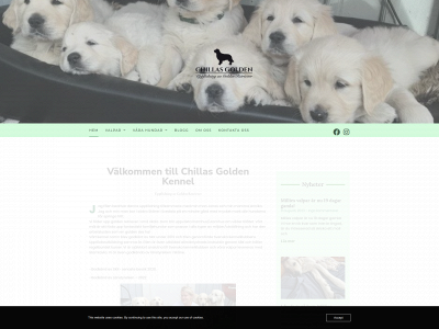 chillasgolden.se snapshot