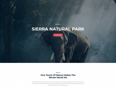 lieblingstudios.com snapshot