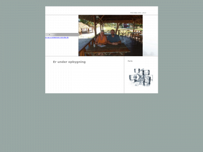 micvibe.dk snapshot