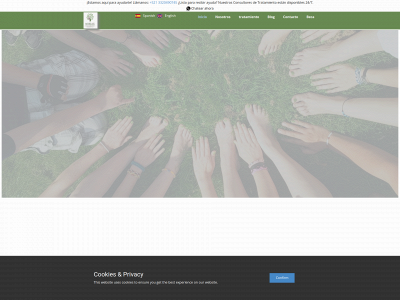 clinicamorelife.com snapshot