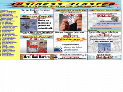 bizblastsc.com snapshot