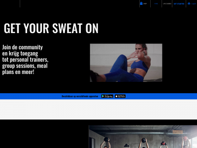 bodyactivity.nl snapshot