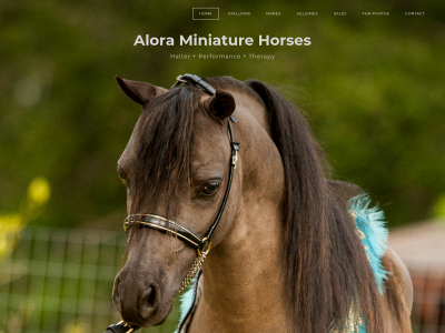 www.aloraminis.com snapshot
