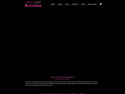 shesgotsuccess.com snapshot