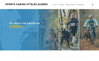 www.scaquebec.ca snapshot