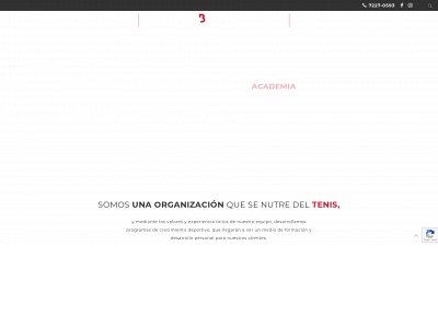academiabounce.com snapshot