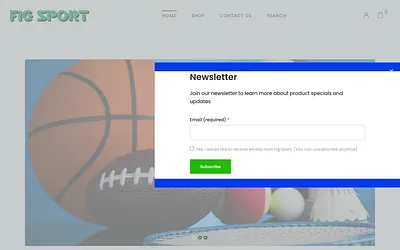 figsport.com snapshot