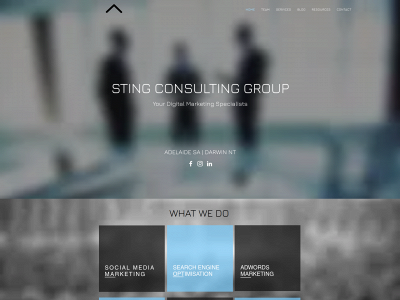 www.stingconsultinggroup.com snapshot