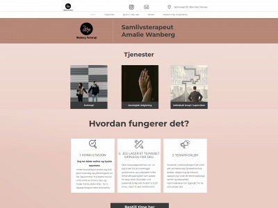 wanbergparterapi.com snapshot