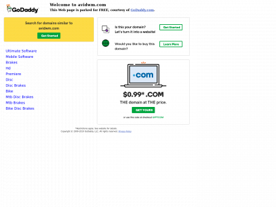 avidwm.com snapshot