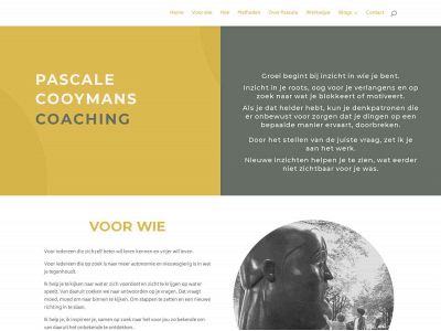 pascalecooymans.nl snapshot