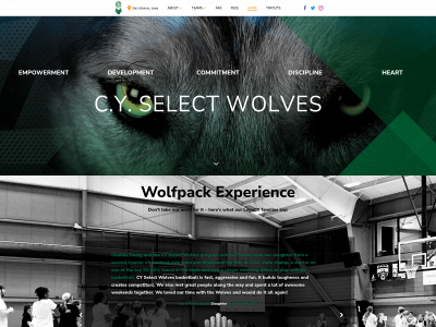 cyselect.com snapshot