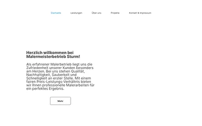 malersturm.com snapshot