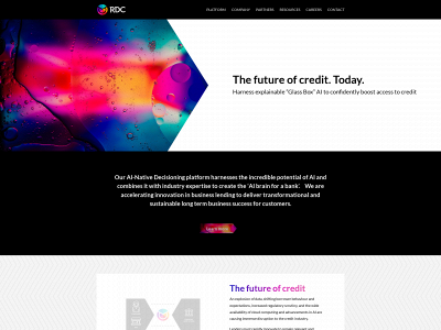richdataco.com snapshot