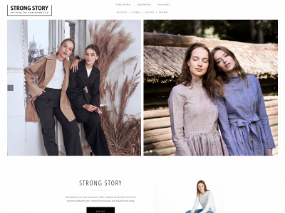 strongstory.lt snapshot