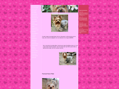 expectations-yorkshireterrier.123hjemmeside.dk snapshot