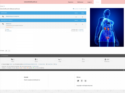 interstitiellcystit.se snapshot