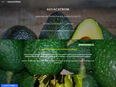 aguacatrom.weebly.com snapshot