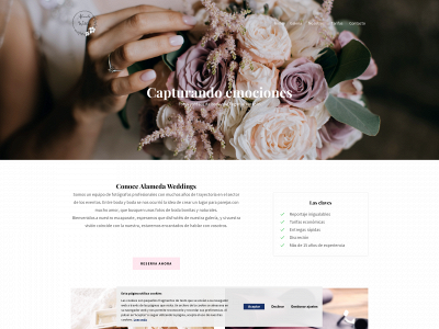 alamedaweddings.com snapshot