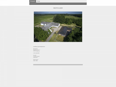 braad.dk snapshot