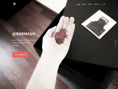 barmash.net snapshot